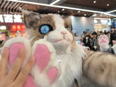 -中贸广场