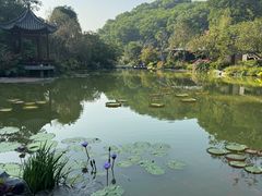 -云溪植物园