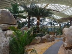 -杭州开元森泊度假乐园