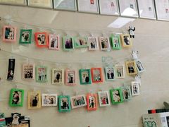 -仁华宠物医院(青羊店)