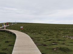 -芦芽山旅游度假区