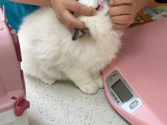 -美联众合动物医院·24h京西诊疗中心