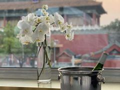 -TRB Forbidden City(故宫店)