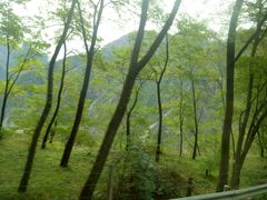 -成都濑川外国语学校