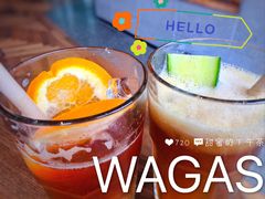 勤瓜姗姗-Wagas沃歌斯(合生汇店)