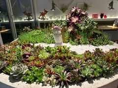 -春树下·树屋花房西餐厅(罍街AS1980店)