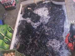 -旭龙鱼头王(航华店)