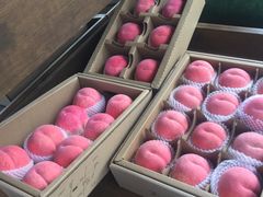 -田园东方蜜桃村的田野营地