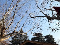 -沈家花园如皋菜(君御豪庭店)