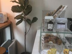 -常识咖啡common sense(春熙路店)