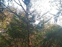 -成都欢乐谷