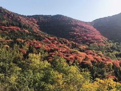 -空心山旅游区