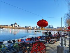 -莲花池公园