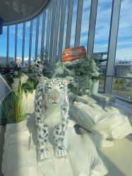 -IMON·HANSA潮玩玩偶毛绒玩具(通州万象汇店)