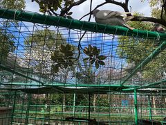 -香宫中餐厅 · 桂林香格里拉