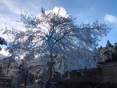 -庐山风景名胜区