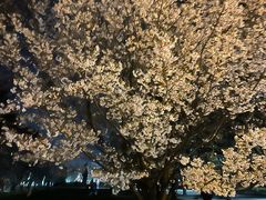 -同济大学(嘉定校区)