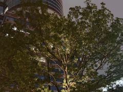 -香港理工大学