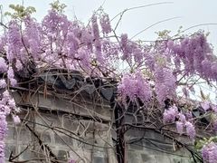 -老门东历史文化街区