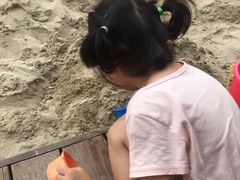 -九龙湖公园