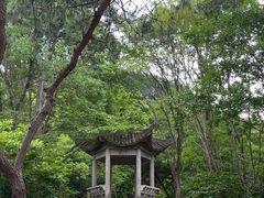 -天台山赤城山景区