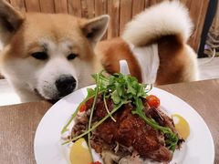德国大肘子-百好乐宠物友好餐厅(朝外大街店)