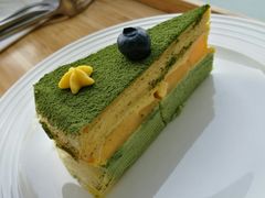 芝士抹茶蛋糕-36cake生日蛋糕·下午茶(南山店)