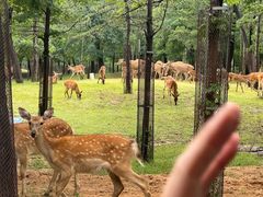 -秦皇岛野生动物园