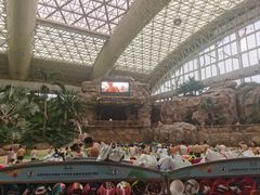 -杭州开元森泊度假乐园