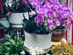 -郑州植物园