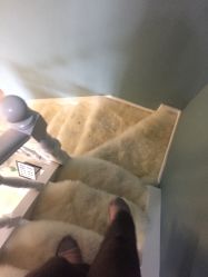 -YOUNGSKIN氧研皮肤管理中心