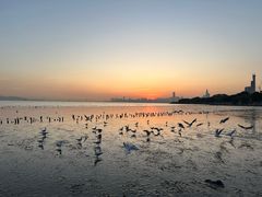 -深圳湾公园(南山区)