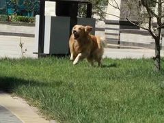 -康乐宝动物医院