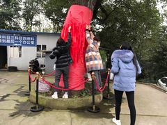 -乔森驾校(杨家坪总校)