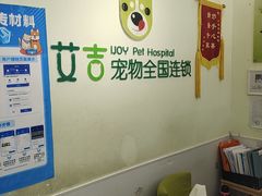 -艾吉宠物医院·疑难杂症转诊中心·猫友好(碧江路院)