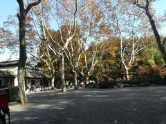 -莹珠阁·私房菜