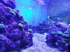 -成都浩海立方海洋公园