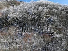 -秦岭风景区