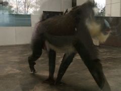 iphone_upload_pic-西安秦岭野生动物园