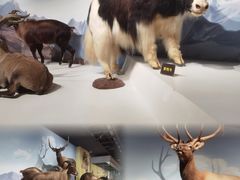 -陕西自然博物馆