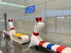-温州龙湾国际机场