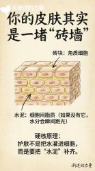 -克丽缇娜