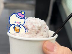 -BLACKSWAN黑天鹅(环球店)