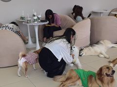 -怪兽屋·羊驼·猫咖·狗咖(俊华广场店)
