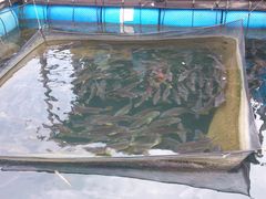 -海上驿站渔家菜馆