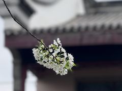 -龙潭水乡