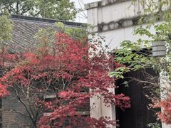 -同里国家湿地公园