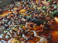 -黑竹香鸡(营和巷店)
