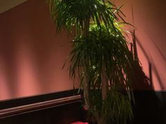 -青年公社烤鸭(肇嘉浜路店)