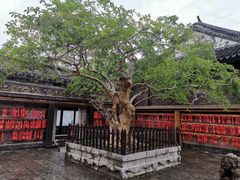 -中山詹园